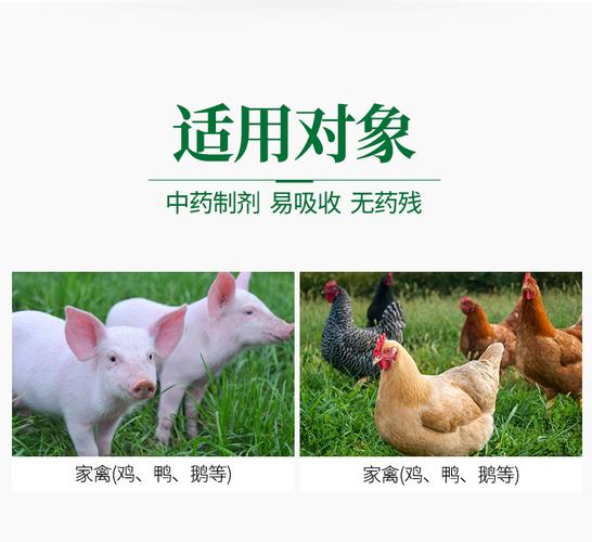 荆防败毒散 猪牛羊鸡鸭风寒感冒流感的温性兽药方案